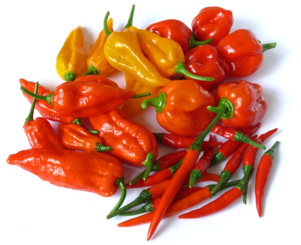Foto - Grow Hot Peppers